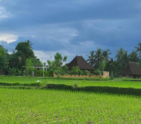 The Morgan Villa with Rice Field View